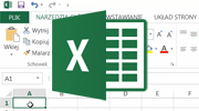 Excel 2013