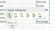 Opcje wklejania